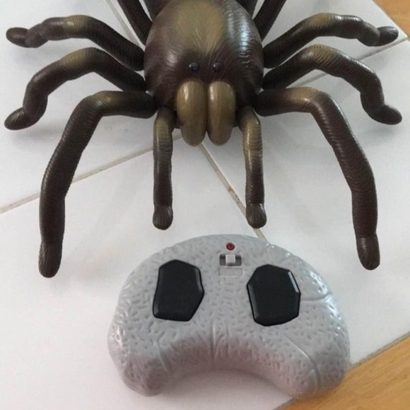 USED - kids discovery rc remote control tarantula (with led lights eyes) - Picture 3 of 4